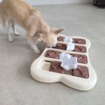 山梨県甲府市の犬の保育園もふ＆ふる　犬のしつけ　ドッグトレーニング