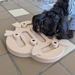 山梨県甲府市の犬の保育園もふ＆ふる　犬のしつけ　ドッグトレーニング